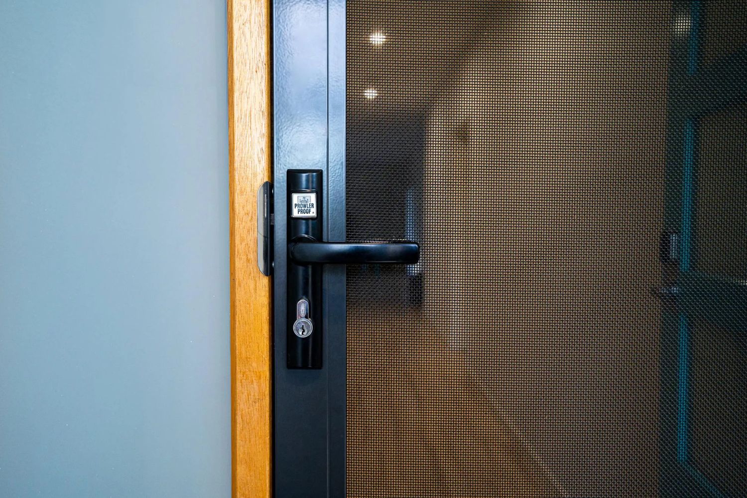 ForceField security door