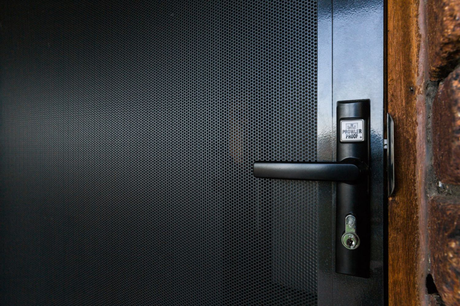 Protec Security Door 