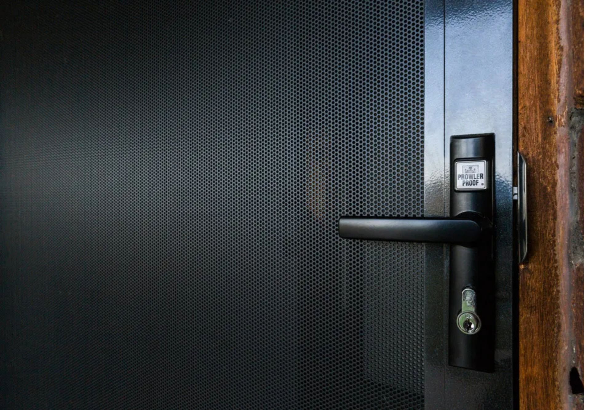 Protec security door