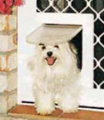 Small Petway pet door